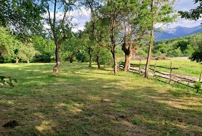 Teren de 3700 mp, în Porumbacu de Sus - 5