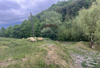 Teren 2,000mp Copalnic-Manastur / Strada Principala - 6