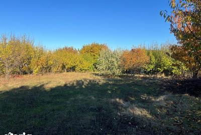 Teren de 800 mp, în Rediu