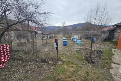 Casă cu 2 camere cu Teren 2805 Mp în Central - 10