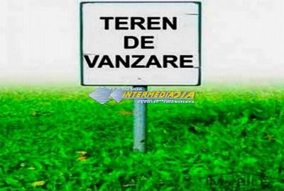 Teren Construcții intravilan de 5000 mp, în Sud - 1