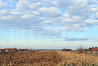 Teren de vanzare, 52 de ari, zona Odoreului - 1