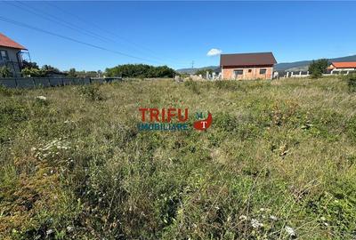 Teren intravilan 500 mp în cartierul Partoș - 1
