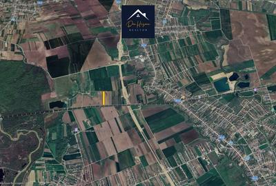 Teren 1,5 ha Domnesti langa Autostrada A0 - 2