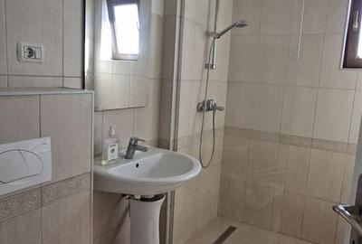 Apartament cu 2 camere semidecomandat, mobilat în Dumbrăvița - 19