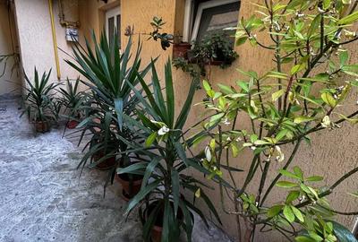 Garsoniera de inchriat - 5