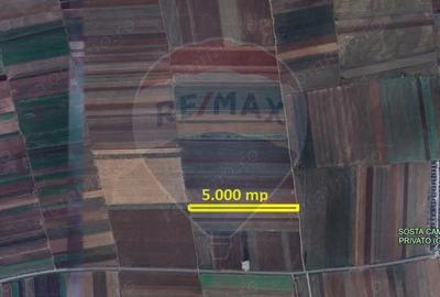 Teren de 5000 mp, în Tărlungeni - 3