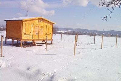 Teren de 16800 mp, în Sibiel - 3
