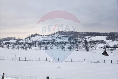 Spațiu comercial, în Bârsana - 4