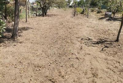 Casă cu 5 camere cu Teren 1800 Mp în Unirea - 4