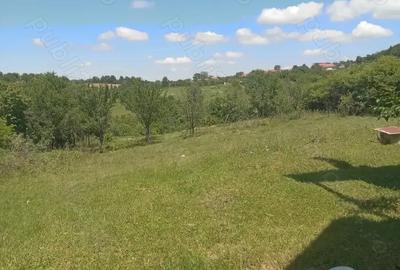 Casă cu 5 camere în Central - 2