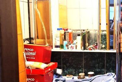 Apartament cu 4 camere decomandat în Militari - 8