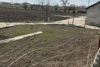 Casă cu 4 camere cu Teren 4276 Mp în Pecineaga - 4