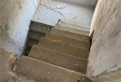 Casa de in sat Botarlau , parter si mansarda cu suprafata - 17