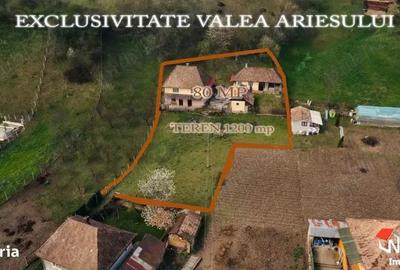 Casa deosebita in zona turistica pitoreasca Valea Ariesului - 1