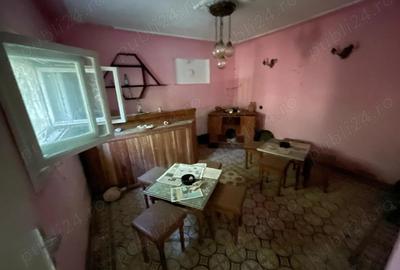 De vanzare casa cu teren intravilan Ro?ia Noua, comuna Petri?, jud. Arad - 8