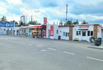 Casă în Calea Doftanei - 8