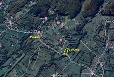 Teren Construcții intravilan de 3000 mp, în Predeluț - 3