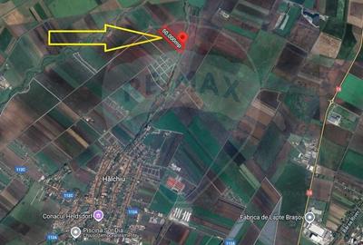 Teren de vanzare / extravilan 50.000mp/Halchiu - 5