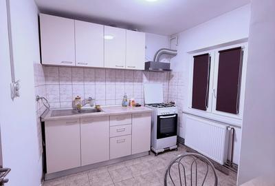 Garsonieră spațioasă și complet renovată – Zona Liceul Teoretic Ion Barbu - 2