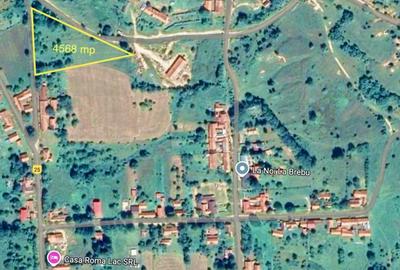 Teren intravilan 4.568 mp, 2 fronturi – Brebu Nou, Caraș-Severin - 2