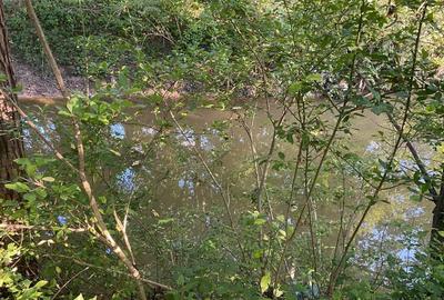 Spațiu comercial, în Tisău - 3