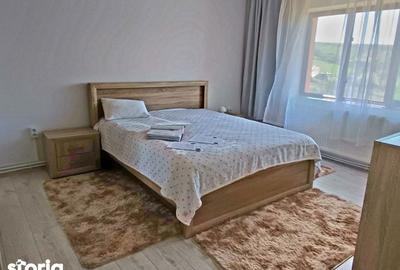 Casă cu 5 camere cu Teren 6381 Mp în Bârnova - 10