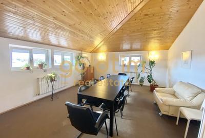 VILA SUPERBA 7 CAMERE, 330MP, D+P+2+M, PTA. DOMENII-STRADAL,2004/BIROURI-CLINICA VILA SUPERBA 7 CAMERE, 330MP, D+P+2+M, PTA. DOMENII-STRADAL,2004/BIROURI-CLINICA - 33