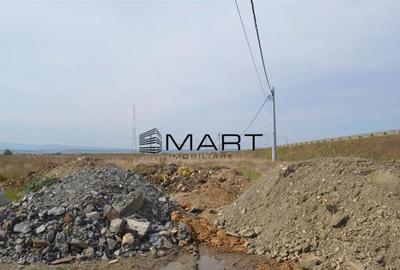 Teren de 6500 mp, în Veterani - 1