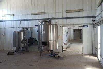 HALA ideala pentru PRODUCTIE ALIMENTARA, Poiana, Ovidiu - 827 mp, teren 4066 mp - 20