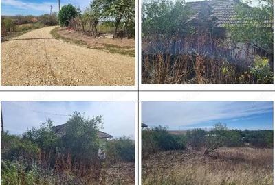 Casa si teren Sat Guruieni, cota parte de 1/2 , ID: R2319667 - 6