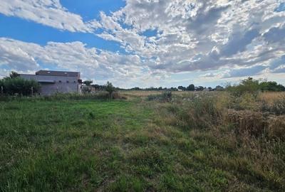 VANZARE 8000 MP. - STR. AUREL VLAICU - GAESTI - POSIBILITATE PARCELARE - 4