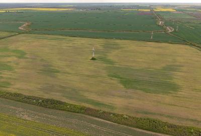 Teren agricol extravilan de 44700 mp, în Exterior Vest - 11