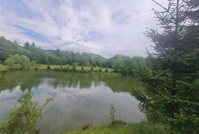 Refugiu idilic cu oglinda de apa, panorama montana, Glajerie/Rasnov, ideal mini - 25