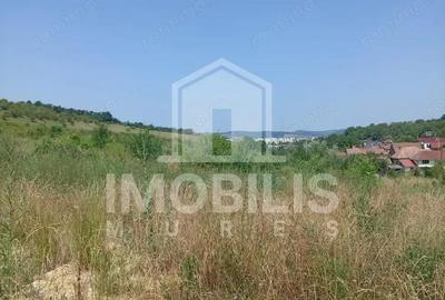 Teren de vanzare | 8800 mp | Viile Dealul Mic - 3