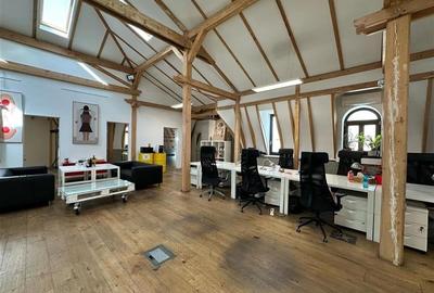 Spatii pentru birouri in vila - 233 mp - aproape km 0 - 10