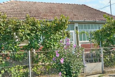 Casa de vanzare cu gradina Iclandu Mare Casa de vanzare cu gradina Iclandu Mare - 3