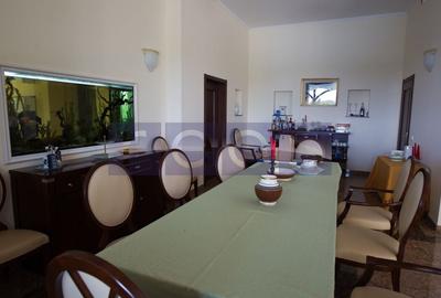 SNAGOV | VILA DE LUX CU 90M DESCHIDERE LA LAC | POZITIE EXCEPTIONALA - 28