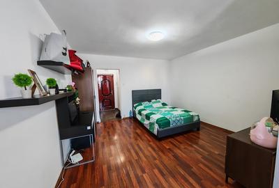 Dristor, Piata Ramnicu Sarat, Park Lake, stradal, metrou 3 minute - 4