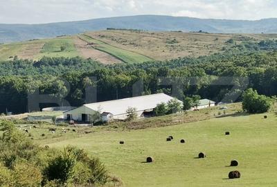 Spațiu comercial, de 3,000 mp, în Dej - 9