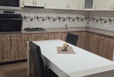 Vand casa in seica mare - 2