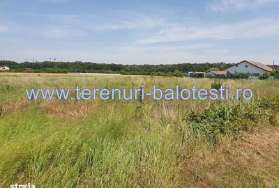 Spațiu comercial, în Balotești - 6