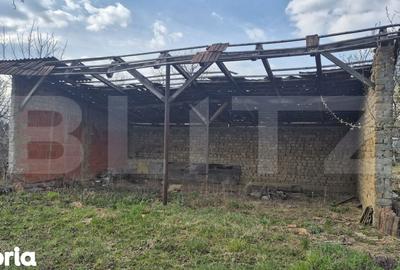 Teren de 1399 mp, în Micula - 4