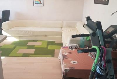 Teiul Doamnei apartament 2 camere - 4