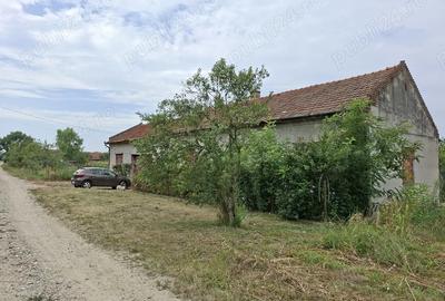 Casă cu 4 camere în Jena - 1