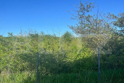 Teren intravilan ,cu vegetatie, 2700 mp, zona Siret - 4