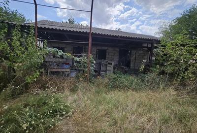 Casă cu 3 camere în Deparați - 11