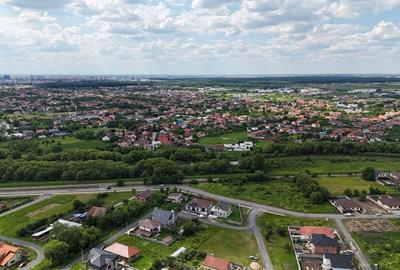 TERENURI PADUREA BISTRA - 10