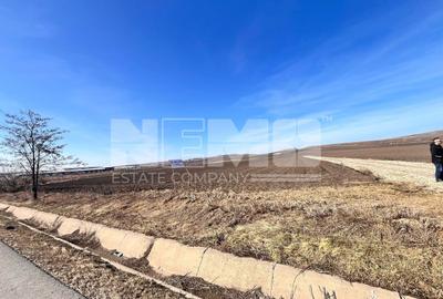 Teren agricol extravilan de 10000 mp, în Stroiești - 12