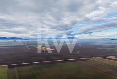 Teren Construcții intravilan de 16000 mp, în Hărman - 4